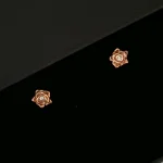 Mini roses gold plated silver stud earrings DagnyLuxe 4
