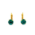 Earrings with crystals “A forest of wonders”