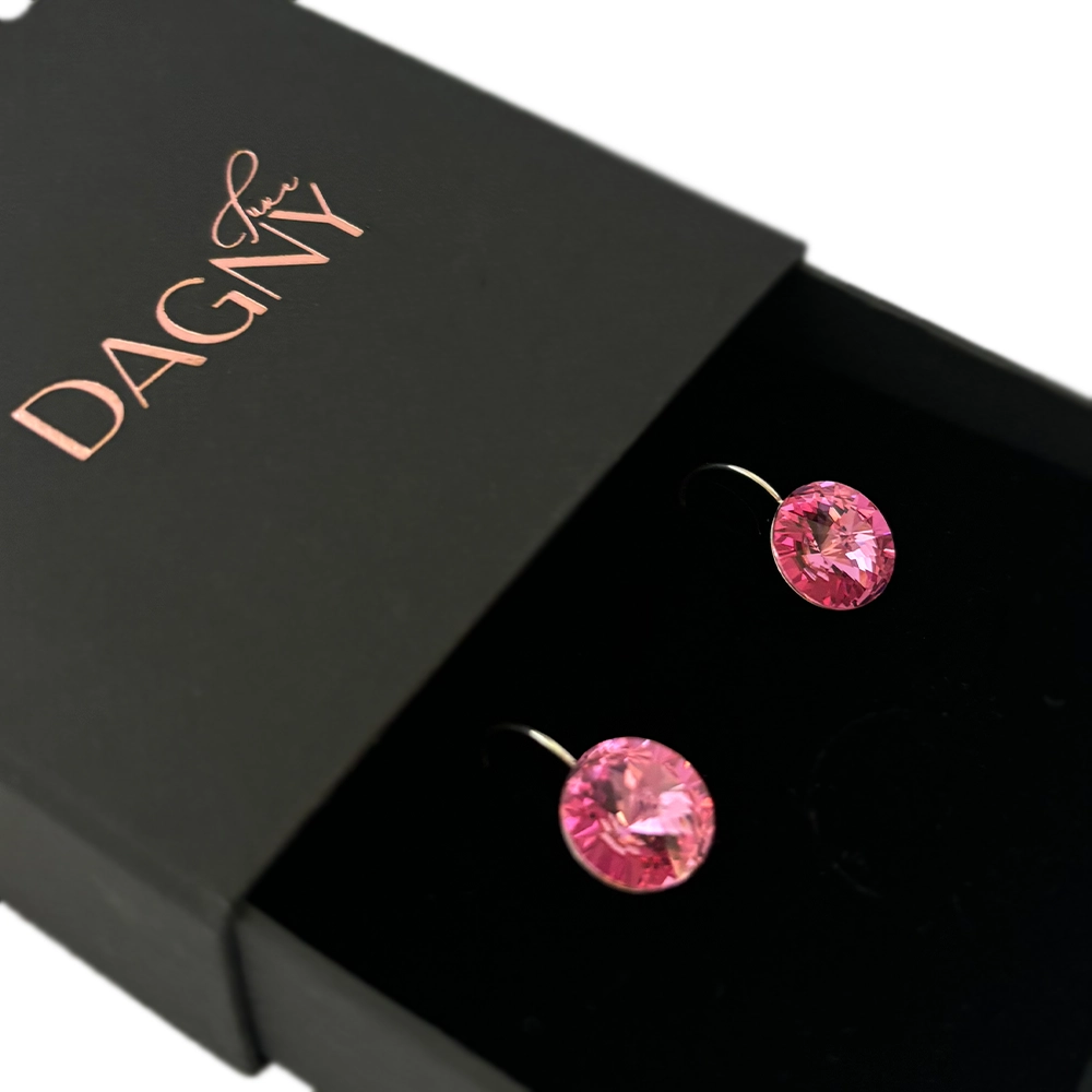 Silver earrings with crystals Femininity 2