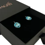 Silver earrings with crystals Clear waters